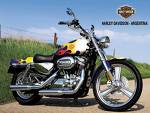 Harley Davidson - I like Harly Davidson motor cycle. How about you?