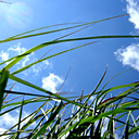 Bluish sky - Blue sky makes me feel happy