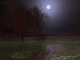 Moonlight - I love the Moon and Stars......