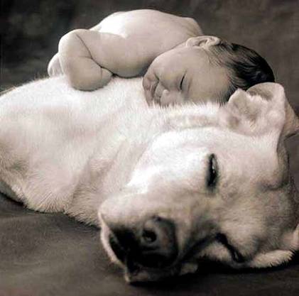 Kids are priceless - Kids give happiness to parents. They are our little angels.
