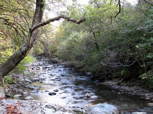 A River flows through it - A Stream in Autumn-kashmir