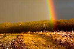 rainbow - i compare friendship with rainbow its colorful and when u see it it always brings a smile on your face