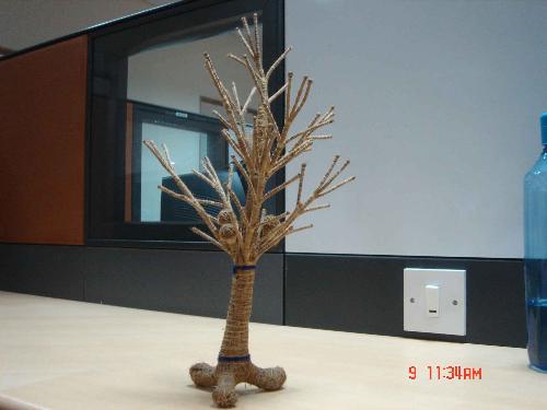 Tree at my Desk. - Nice tree placed at desk...