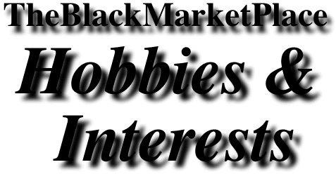 hobbies nd interests -  hobbies nd interests