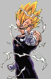 vegita - who likes vegita