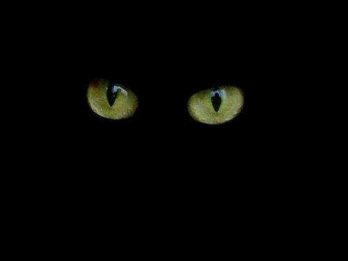 eye - see and meditate with the help of this photo