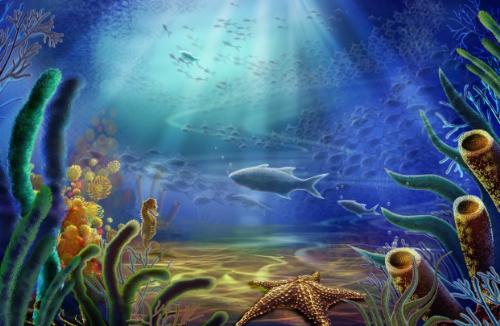 underwater - underwater picture