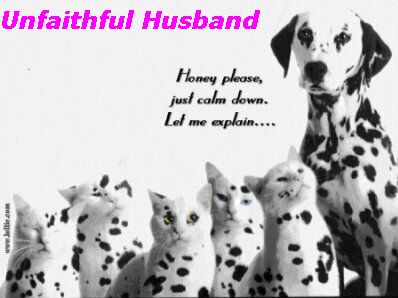 Unfaithful Husband - The story of a dog having given birth to kittens