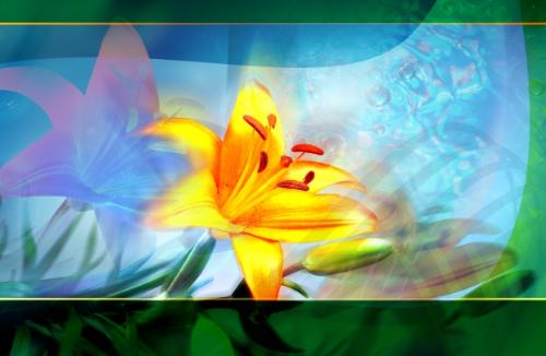 flower - flower picture