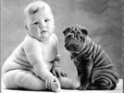 Baby with a Dog - Find the similarities between the baby  and the baby dog