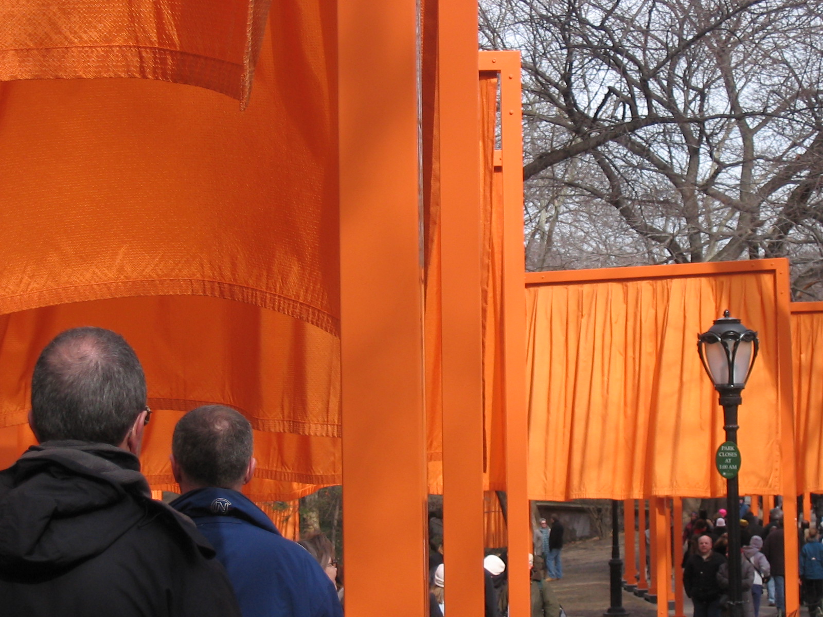 The Gates - the Gates, an art installation in central park