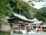 Kyoto, Japan - Kyoto, Japan