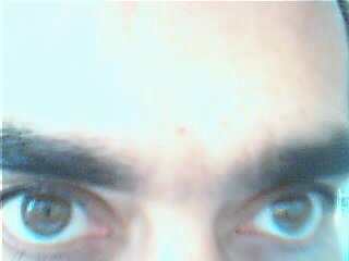 Reproachful? - The eyes tell it all, reproachful?