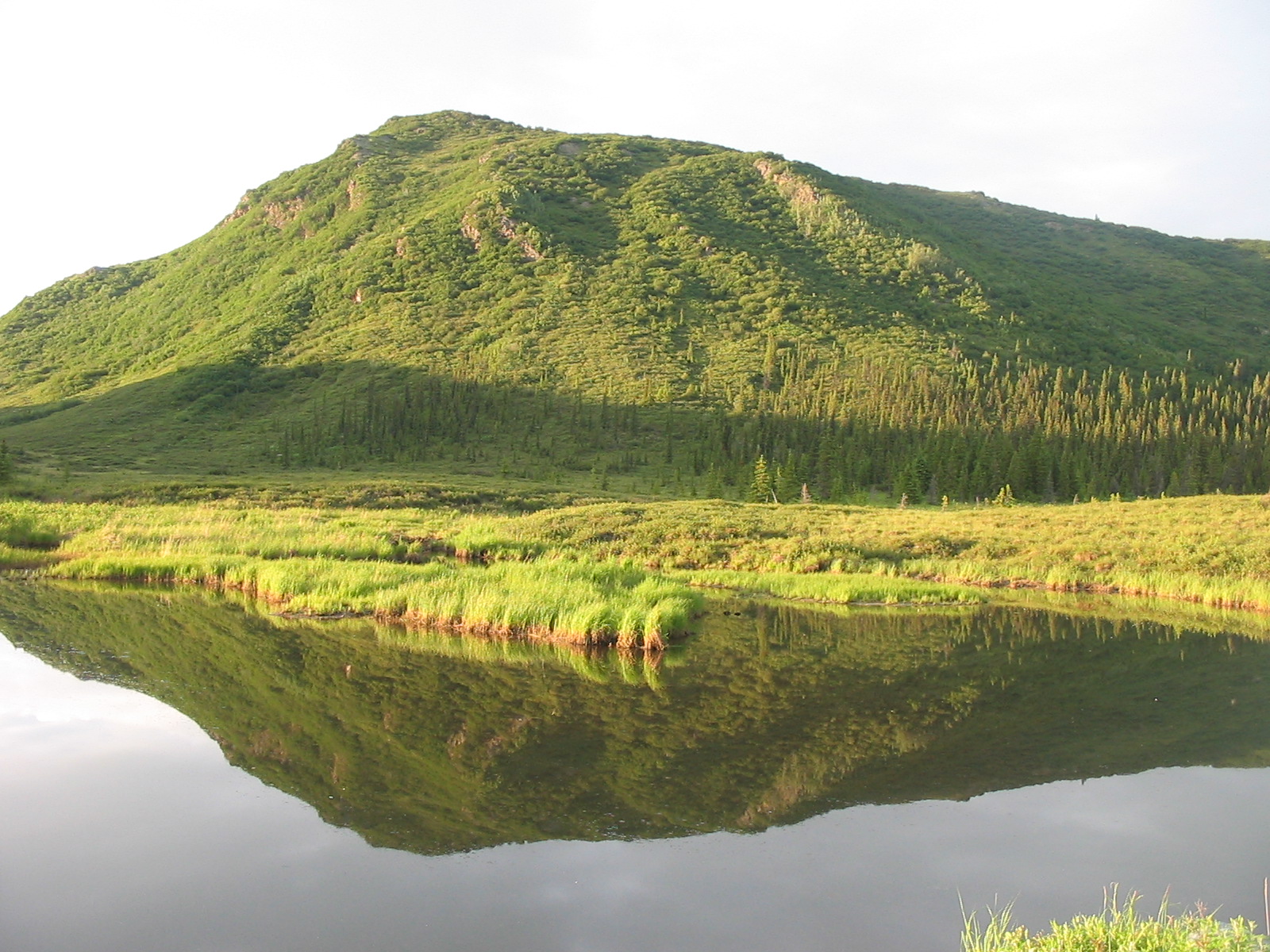 Alaska hills - A hill in Alaska in the summer