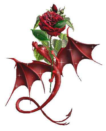 rose, dragon - red rose with a red dragon on it...
