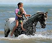 Water Horsing? - Hore ride