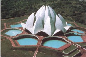lotus - lotus