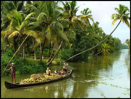 Kerala2 - Silent valley - Palakkad Dist. Its a nice location to view.