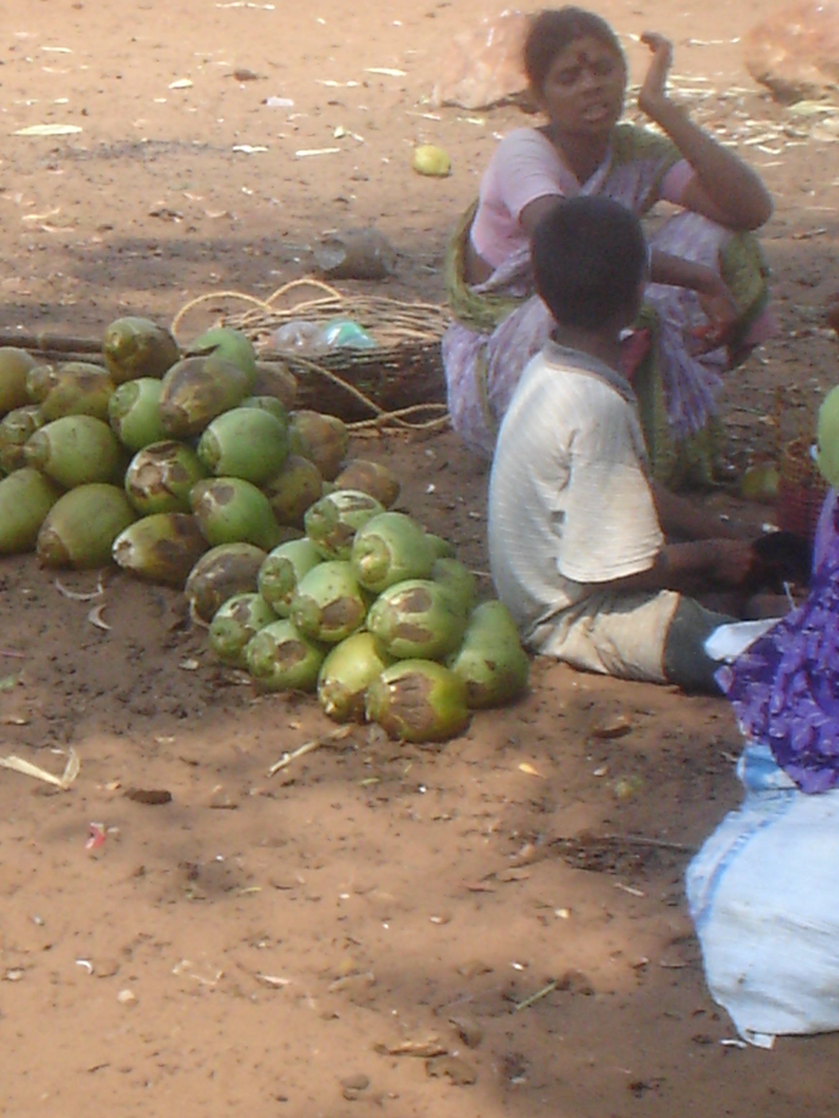 Coconut - I love coconuts