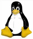 Linux Penguin :) - This is Tux, the Linux mascot. He basically represents Linux, just how the Windows flag represents the Windows OS.