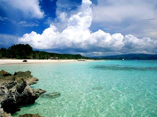 Paradise - Paradise