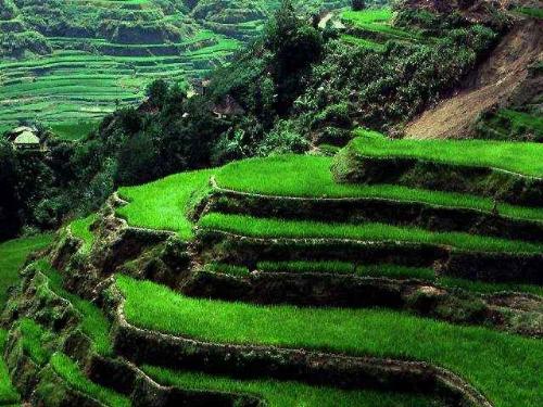 ! - green
