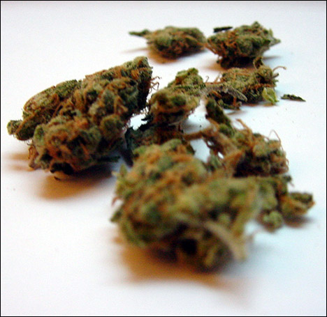 Skunk! - Can you smell it?!