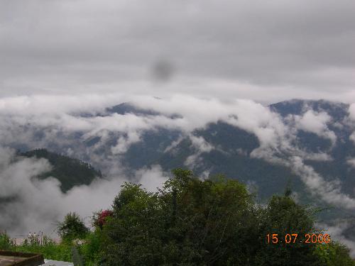 a scene from my balcony - scenary
