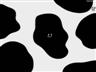 Black and white - Pattern