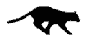 black cat running