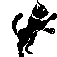 cat stands