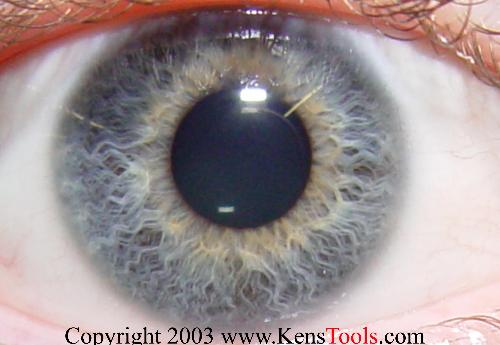 eye - eye