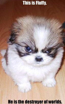 Fluffy - Hes the destroyer of worlds