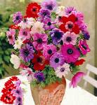 flower - flower