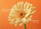Thanks dear... - Thanking you for ur reply...
