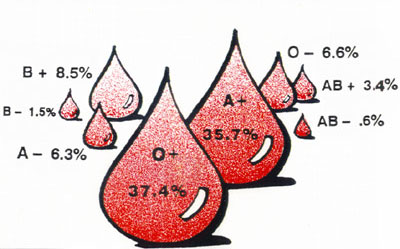 blood types - blood types