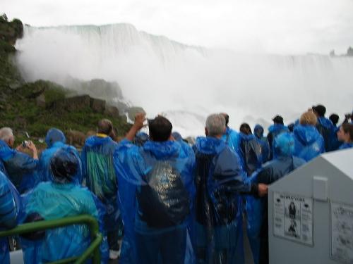 mists - niagra
