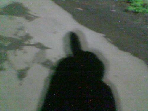 my shadow - which time was it taken ?