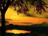nice photos - nice