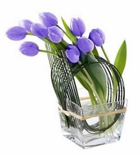 Good Morning - Good Morning