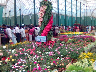 how is this image - flower show in lal bagh bangalore