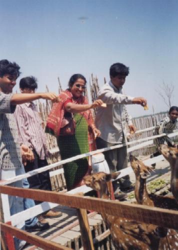 Deer in Sundarban - we're feeding deer in Sundarban in forest camp
