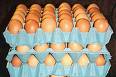 Eggs - Eggs Eggs - Eggs