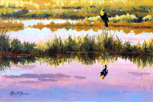 Reflection - Reflection