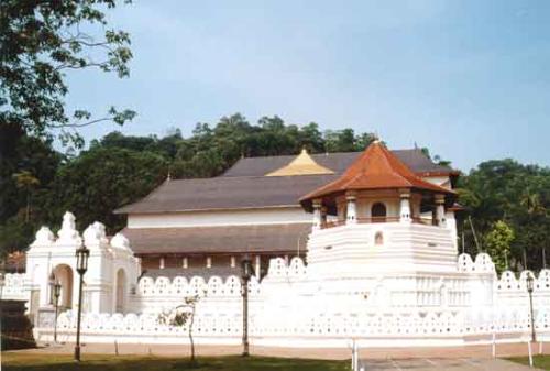 tooth of relic - Heritage