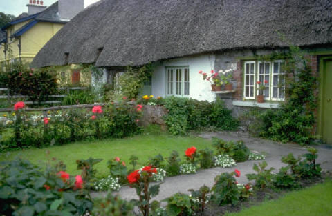 cottage - cottage