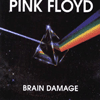 brain damage - brain damage