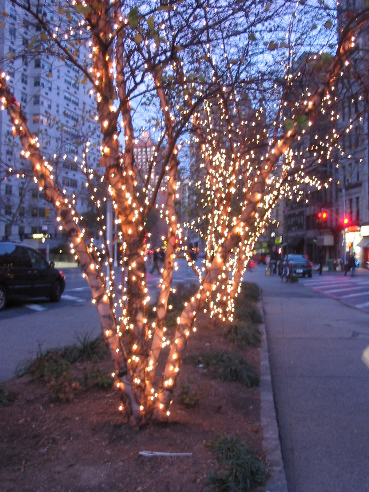 Sparkly Tree