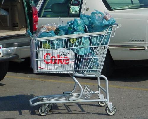 Shopping Cart - A full day's worth of goodies.