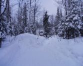 real snow - snow and mountains